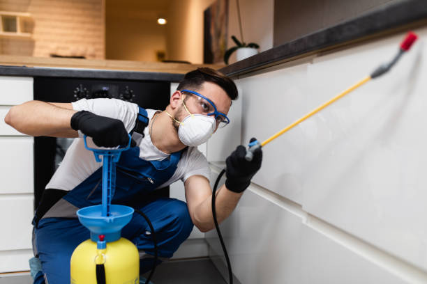 Best Local Pest Control Services  in Naval Academy, MD