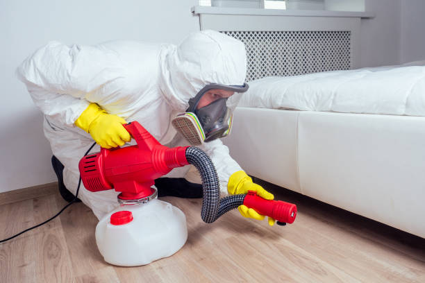 Reliable Naval Academy, MD Pest Control Solutions