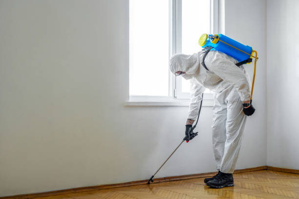 Pest Control for Restaurants in Naval Academy, MD