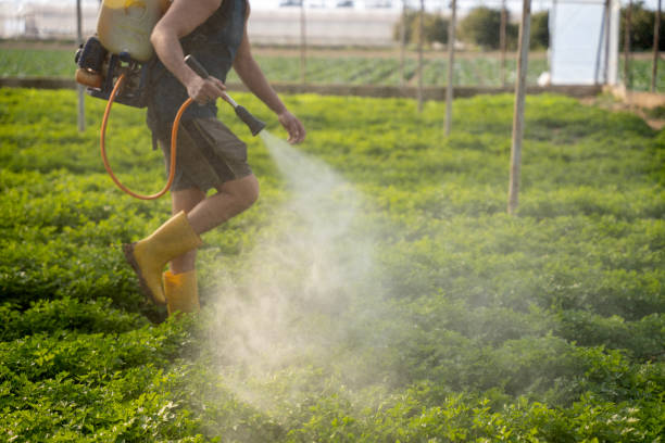 Best Mosquito Control Services  in Naval Academy, MD