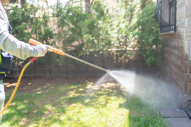 Best Pest Control Near Me in Naval Academy, MD