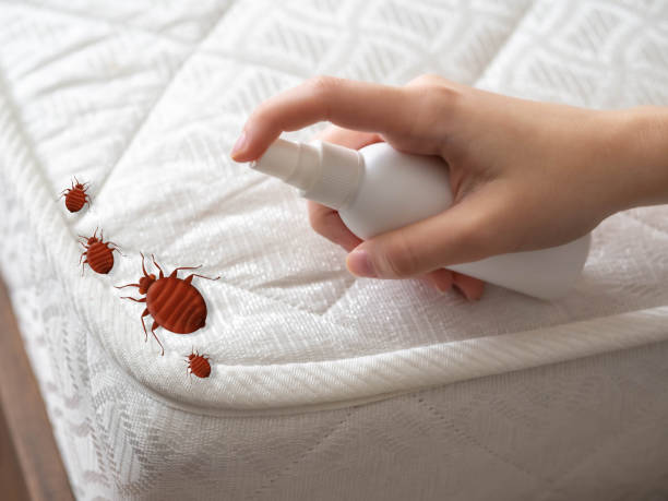 Best Best Pest Control Near Me  in Naval Academy, MD