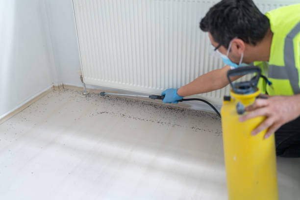 Flea Control Services in Naval Academy, MD